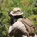 Marines Patrol as Part of Field Exercise