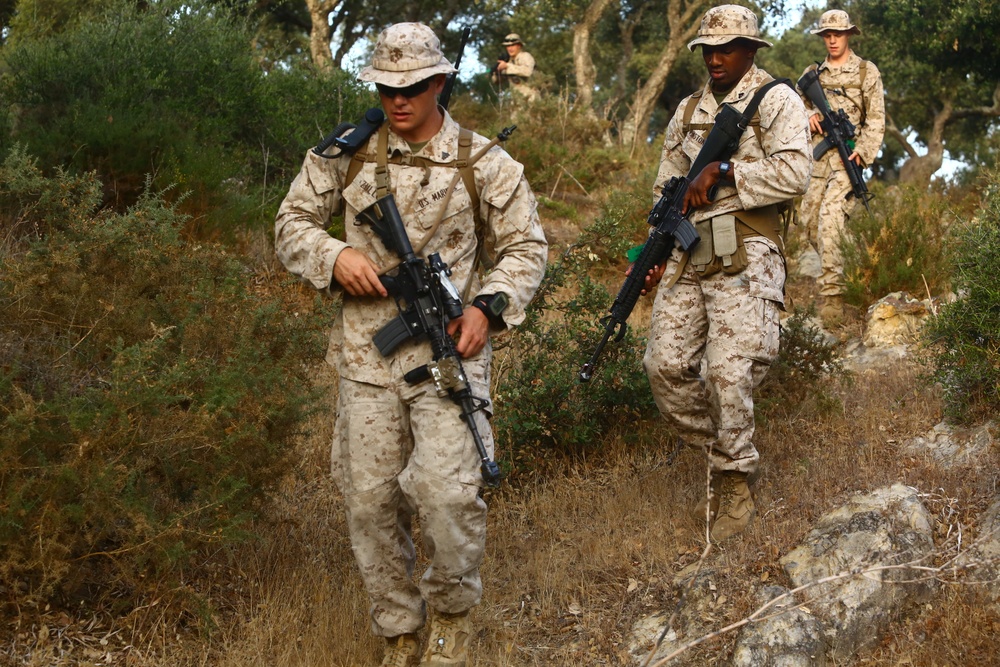 Marines Patrol as Part of Field Exercise