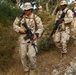 Marines Patrol as Part of Field Exercise