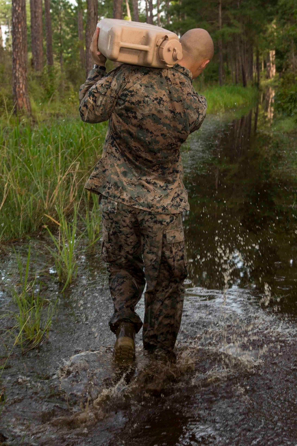 Marine Wing Support Detachment (MWSD)-31