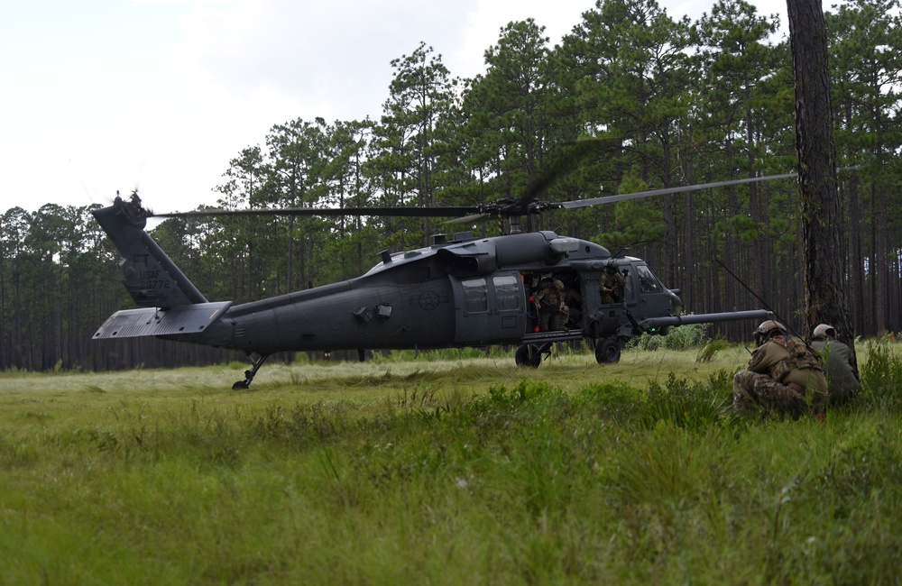 Exercise Stealth Guardian enhances rescue capabilities in multiple environments