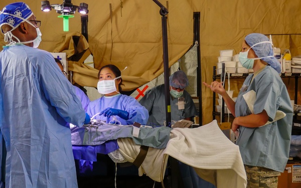 Patriot Warrior 2017