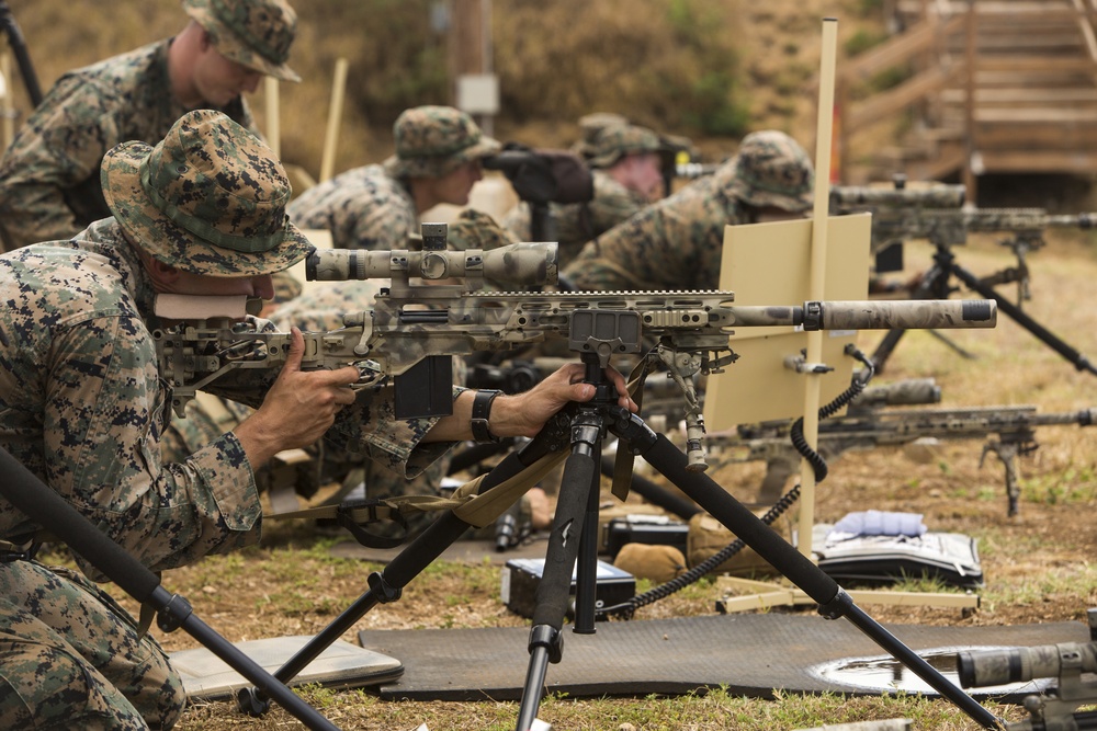 Hunters from afar: Scout sniper candidates practice accuracy