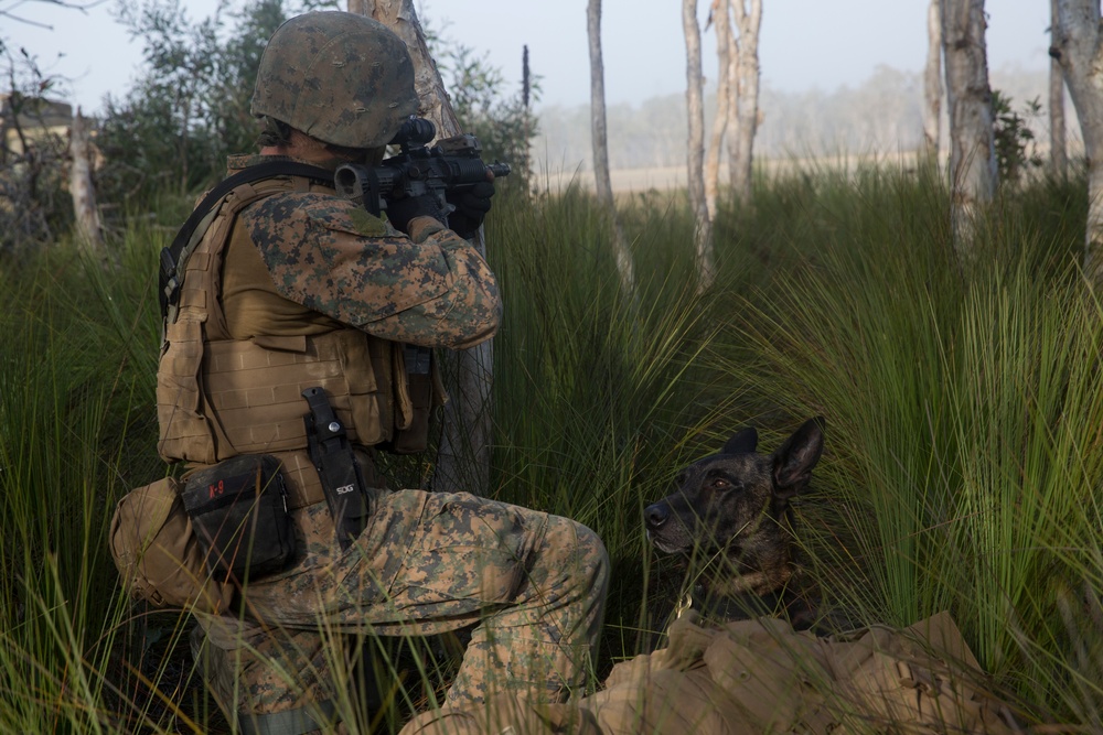 31st MEU Marines seize an airfield during CERTEX