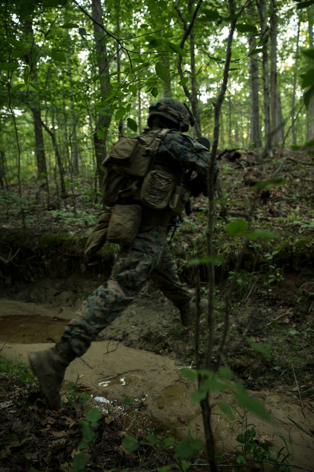 Deployment for Training, 1st Battalion, 6th Marine Regiment