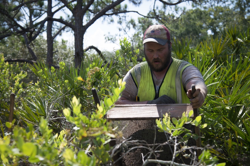 Eastside story: MacDill undergoes Phase 1 of archaeological survey