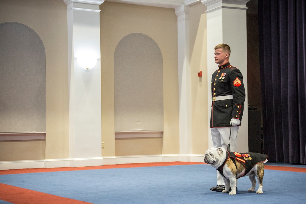 Marine Barracks Washington Evening Parade August 11, 2017
