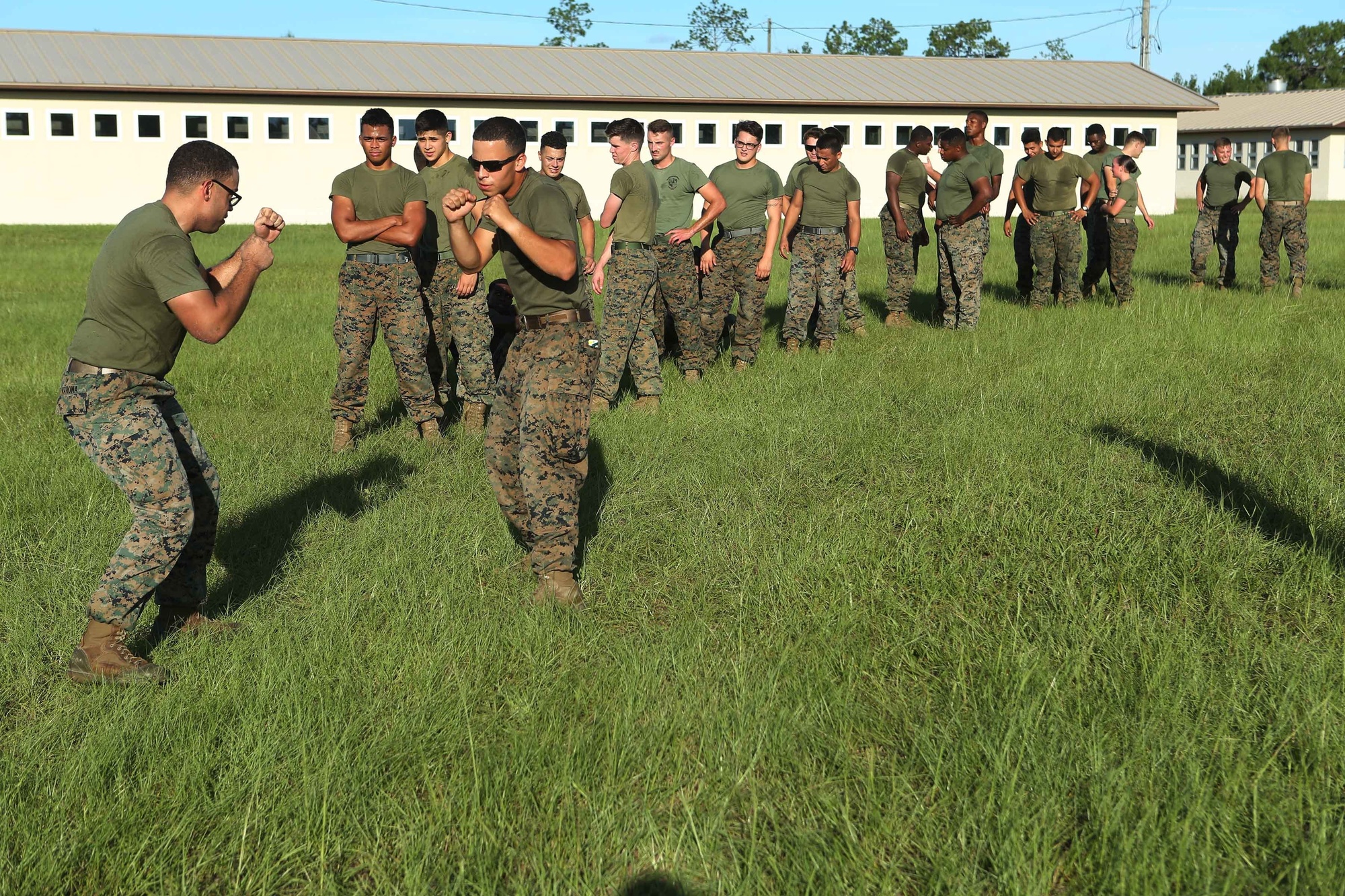 are dogs allowed at camp blanding