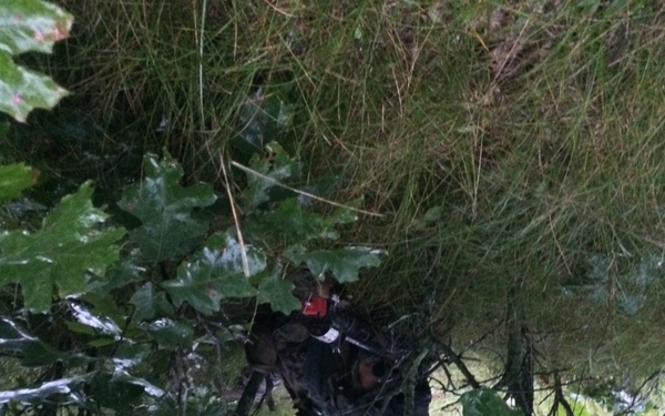 Joint training ambush 4th MEB and 654th RSG