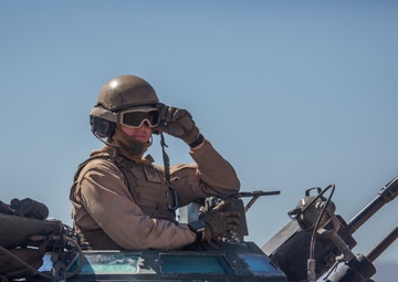 Melting pot: Marines with 1/1 and 2nd AAB conduct integrated live-fire range