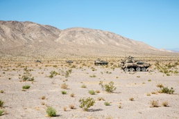 Armor up: 3rd LAR tackles LSE-17