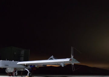 VMU-4 survey wildlife with Unmanned Aerial Systems