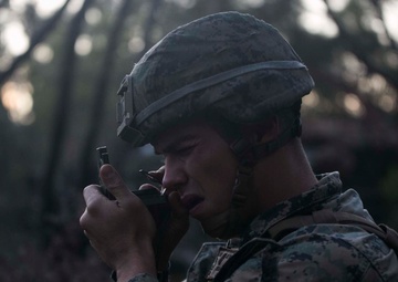 “The Tip of the Spear” – India Company, BLT, 3/5, leads the way during CERTEX