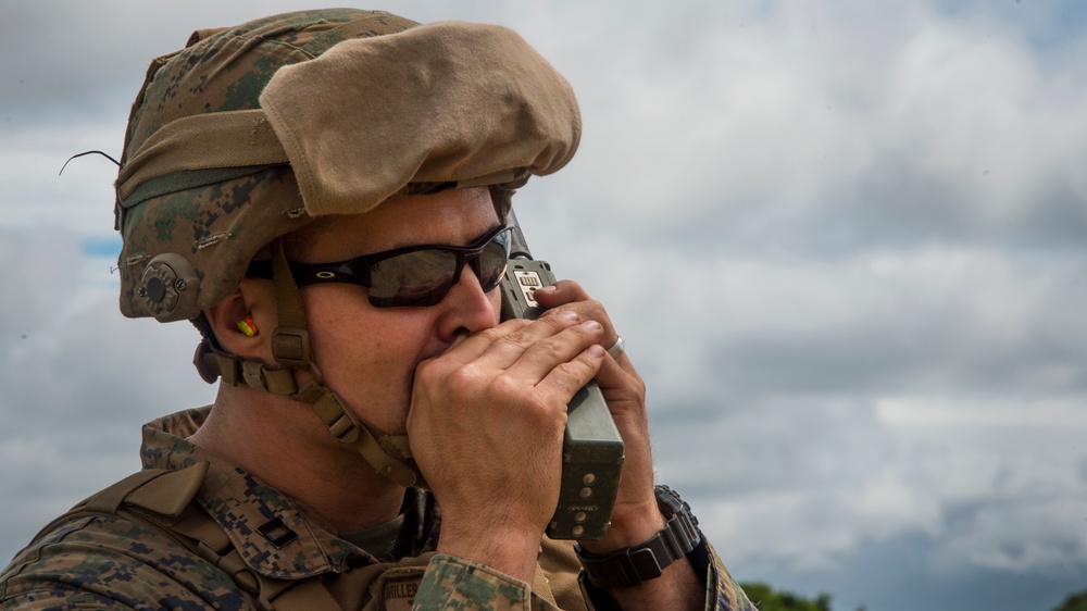 Speaking to an in-flight Osprey