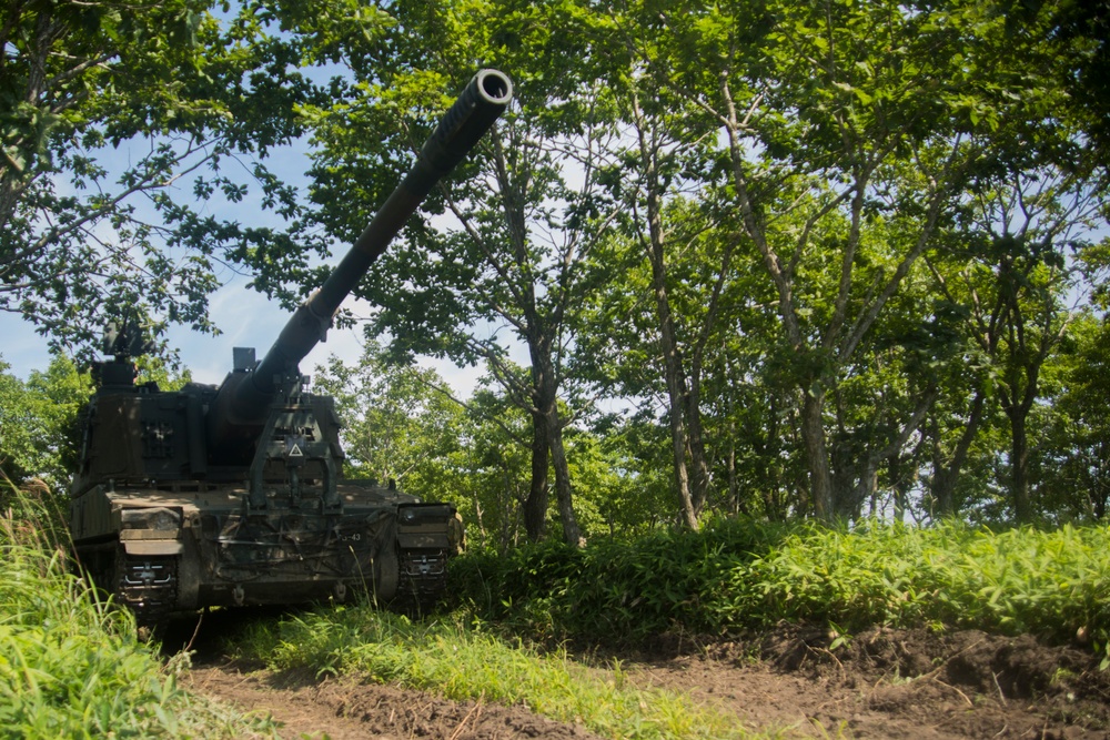 Artillery Training/ Northern Viper