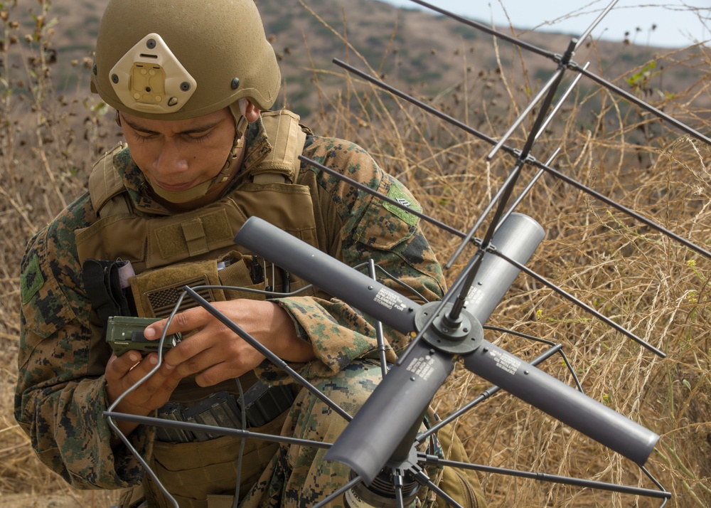 1st Air Naval Gunfire Liaison Company Conducts Direct Actions Exercises