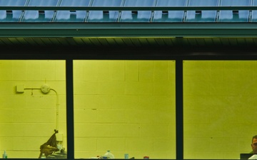 Patriot Warrior 2017