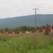 The 1148th Transportation Company, Georgia Army National Guard lines up prior to unloading shipping containers at Letterkenny Munitions Center in support of Operation Patriot Bandoleer.