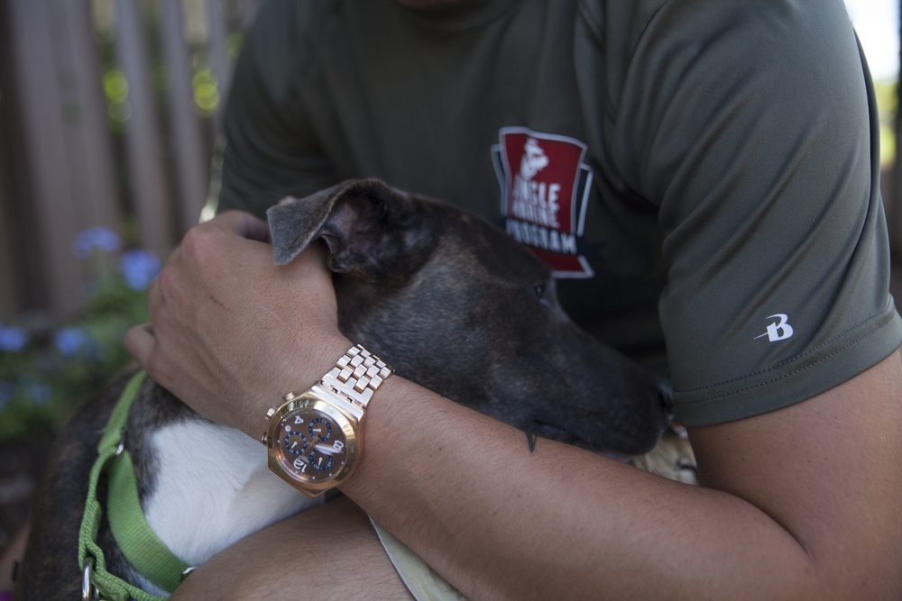 SMSP volunteers at the Hawaiian Humane Society