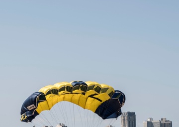 Leap Frogs Perform at the 59th Annual Chicago Air and Water Show