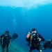 MDSU 1 and Sri Lankan Navy Divers - Subject Matter Expert Exchange