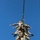 TACP trains for AC Airshow