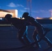 Anywhere; Any Time: Kadena FARP Team conducts nighttime refueling training