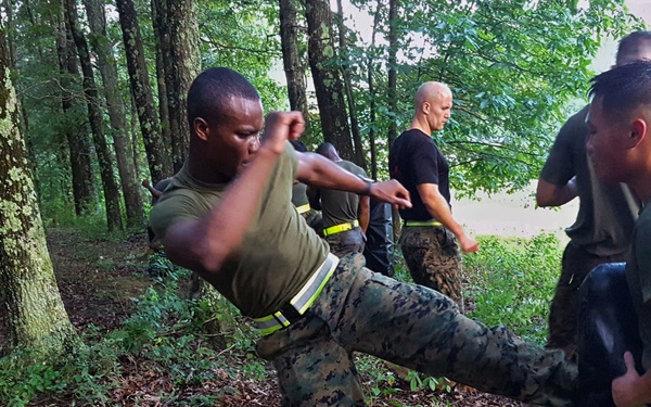 NCOs participate in brutal morning of physical training