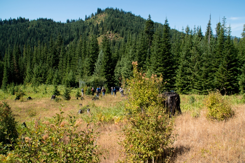 From a Cubicle to the Great Outdoors