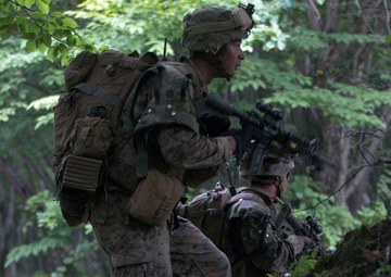 Northern Viper 2017 wraps up final exercise