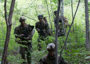 Northern Viper 2017 wraps up final exercise