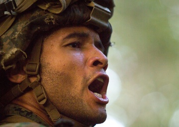 Northern Viper 2017 wraps up final exercise