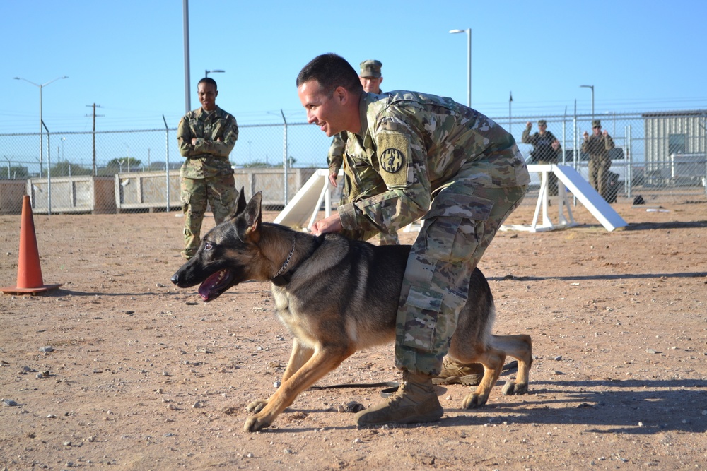 Military Working Dogs