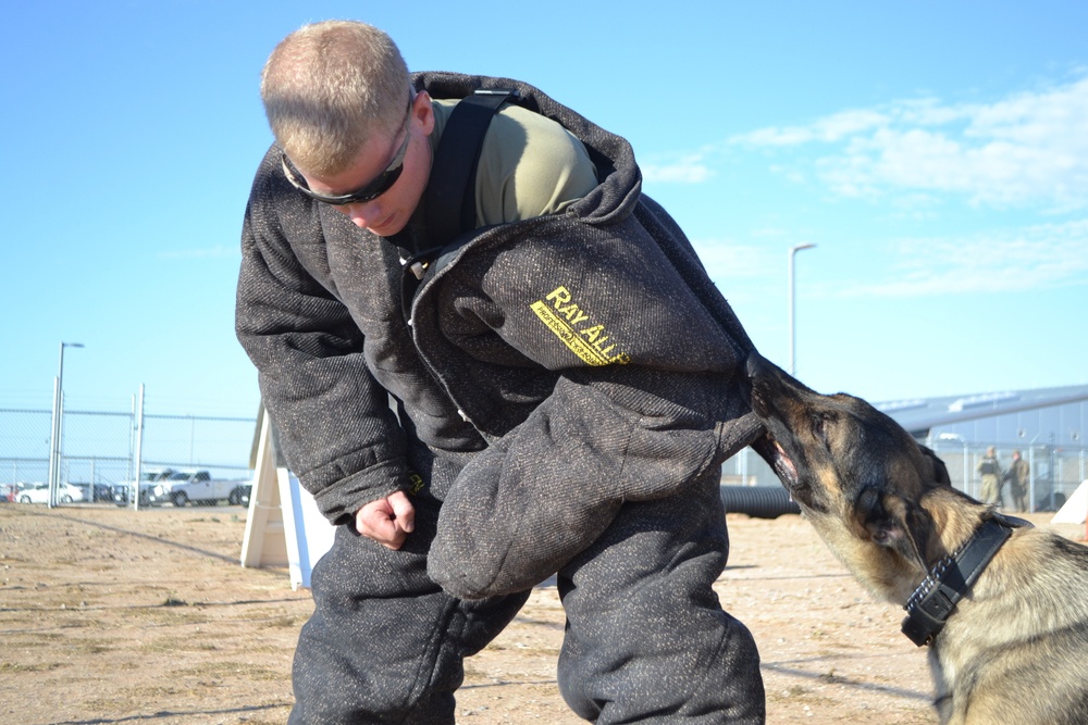 Military Working Dogs