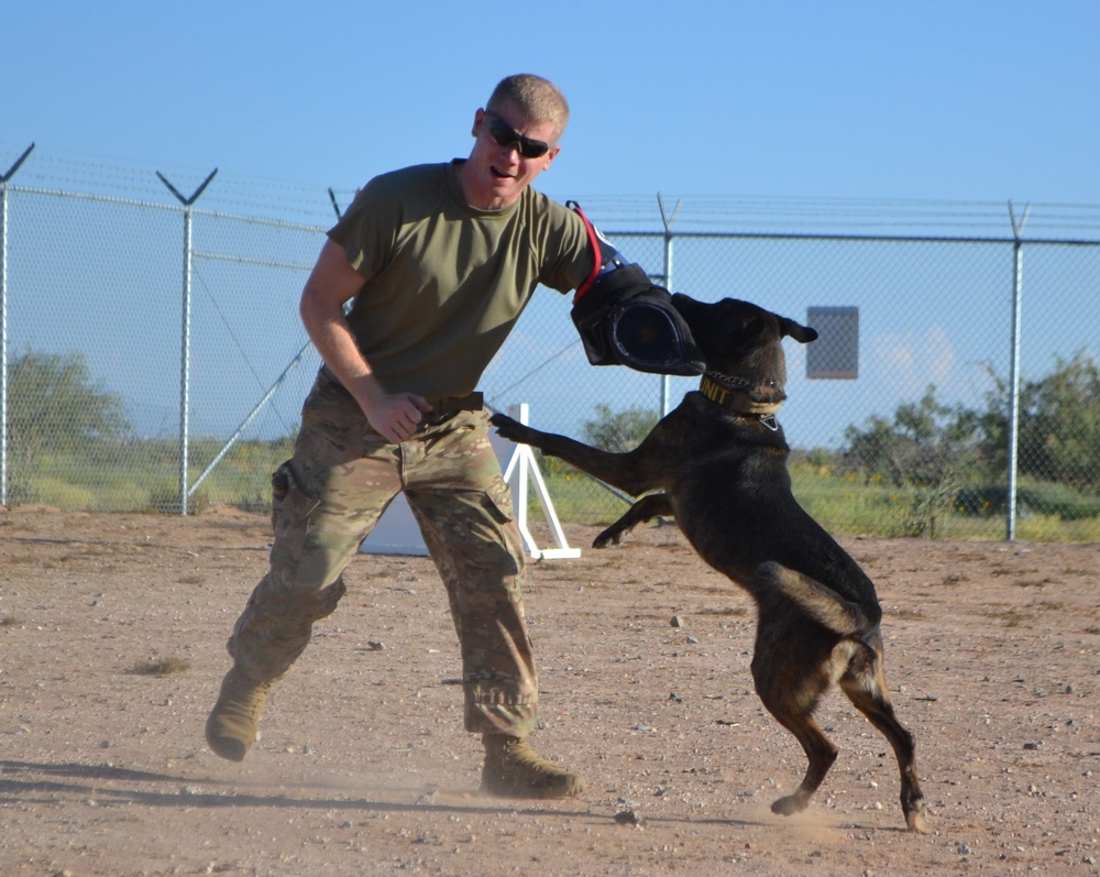 Military Working Dogs
