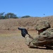 Combat Engineers test skills during stress shoot