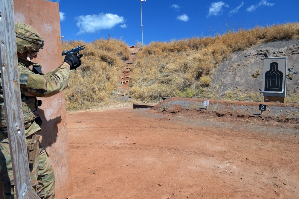 Combat Engineers test skills during stress shoot