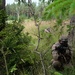 Battle Group Poland Scouts Live Fire August 28