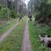 Battle Group Poland Scouts Live Fire August 28