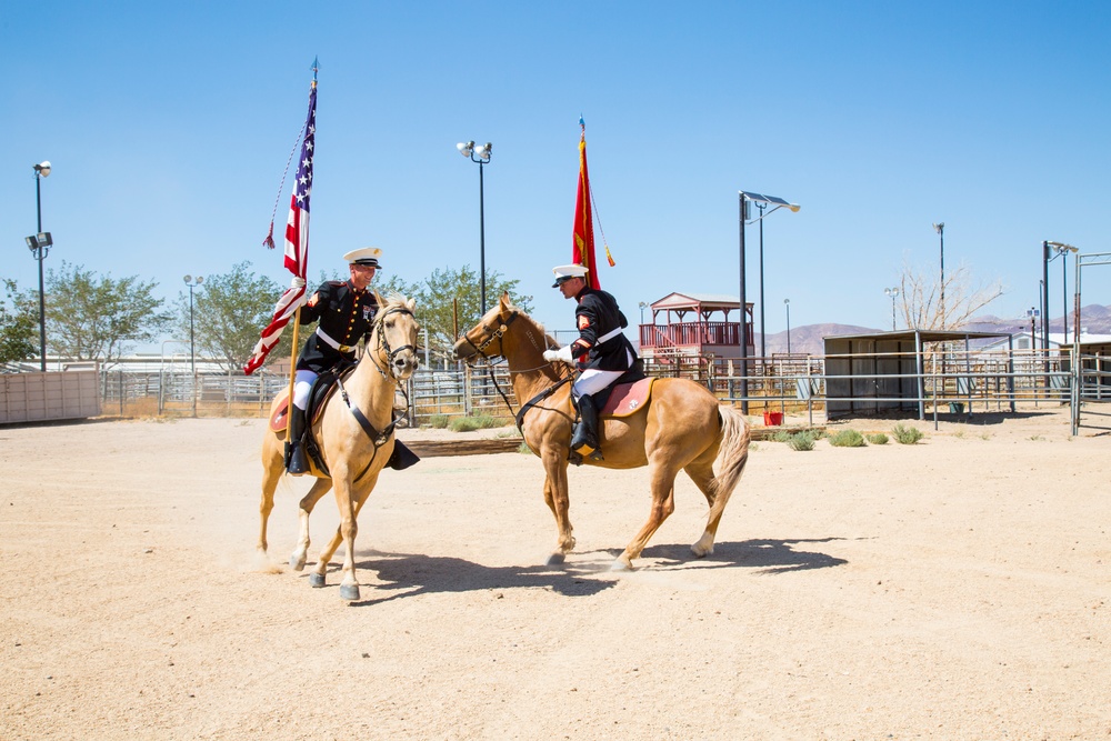 A day in the life of the Marine Corps' Mounted Color Guard