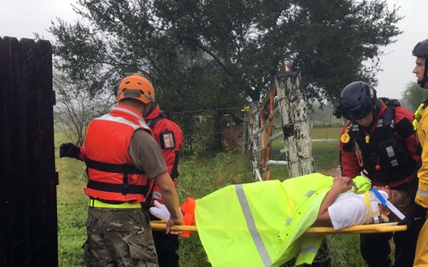 Hurricane Harvey Response