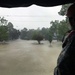 Hurricane Harvey Response