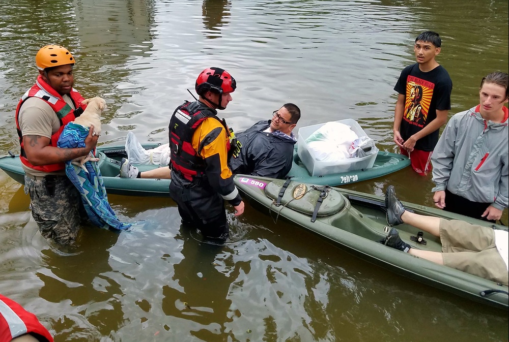 Hurricane Harvey Response