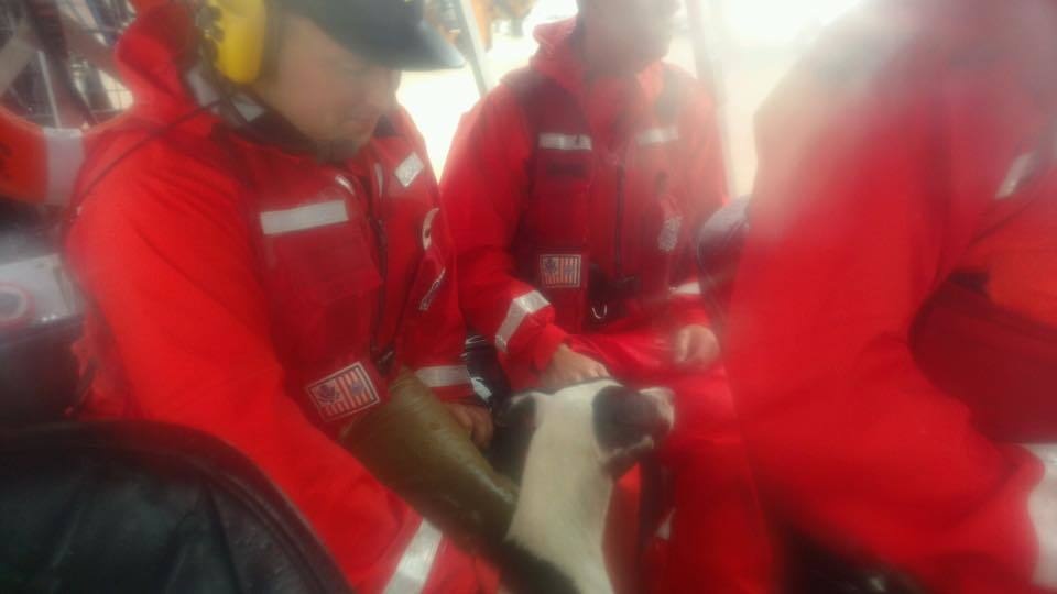 Coast Guard Station Saginaw River boat crew rescues dog in Hurricane Harvey