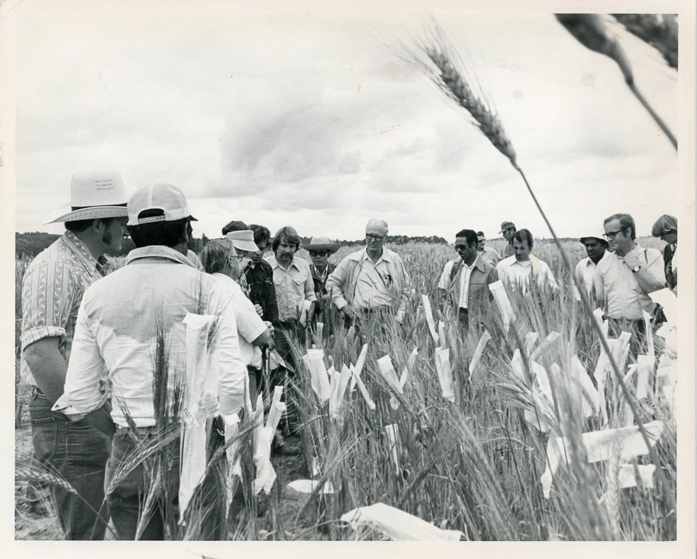Italy Southern Earthquake