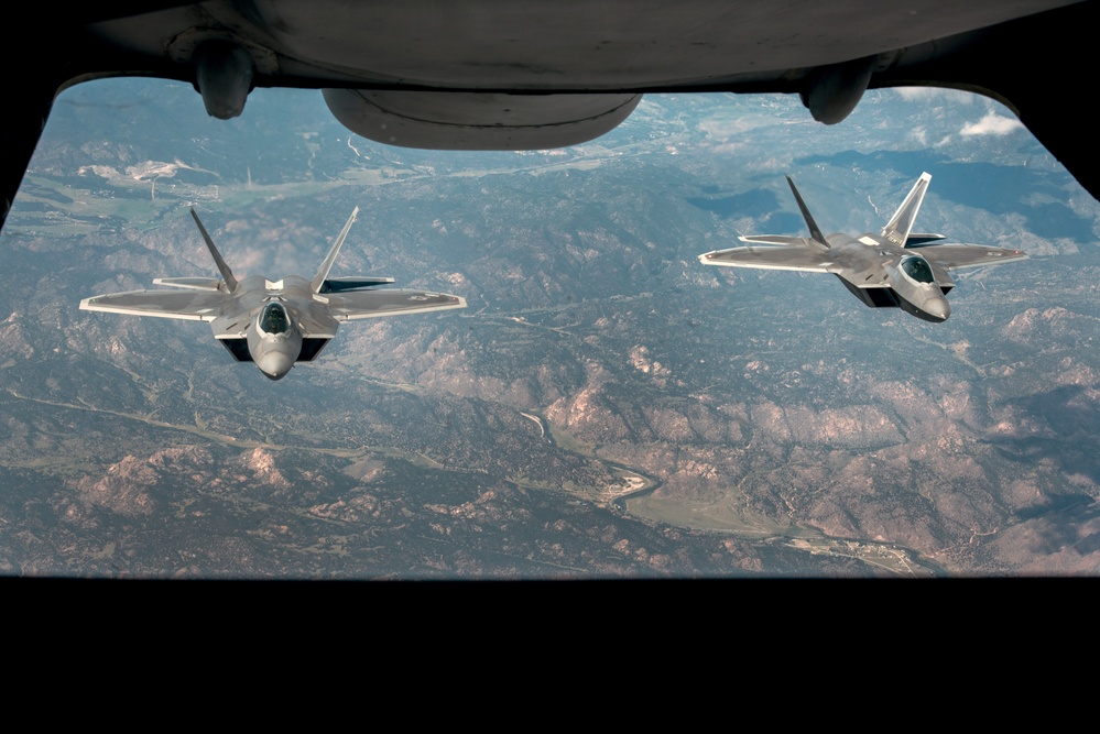 &quot;Raptors in the Wild&quot;