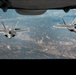 &quot;Raptors in the Wild&quot;