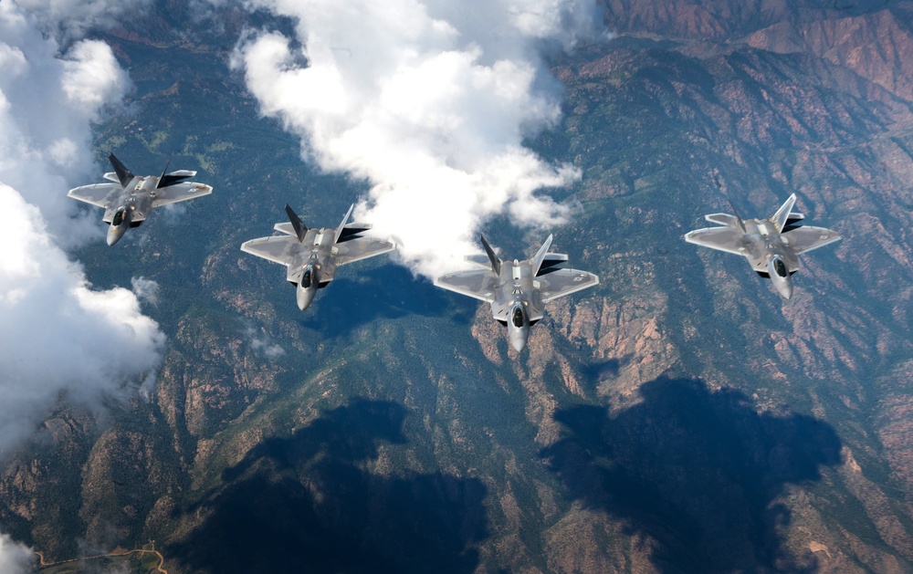&quot;Raptors in the Wild&quot;