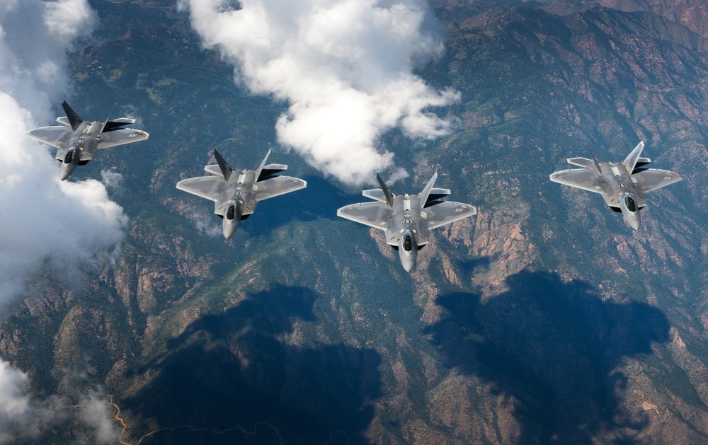 &quot;Raptors in the Wild&quot;
