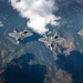 &quot;Raptors in the Wild&quot;